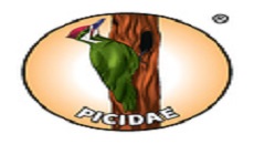 Picidae_Agrisense
